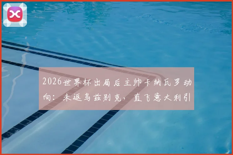 2026世界杯出局后主帅卡纳瓦罗动向:未返乌兹别克,直飞意大利引发猜测,未来去向深度分析